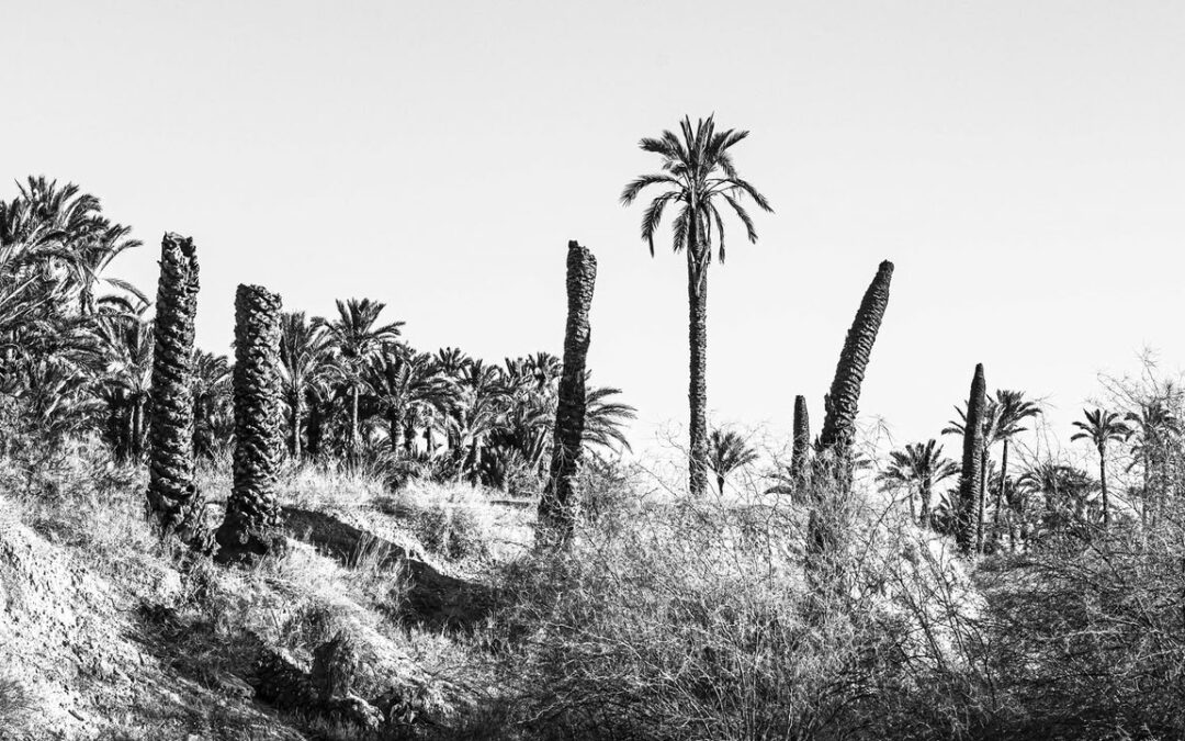 Concurso Luces y Sombras – Exposición